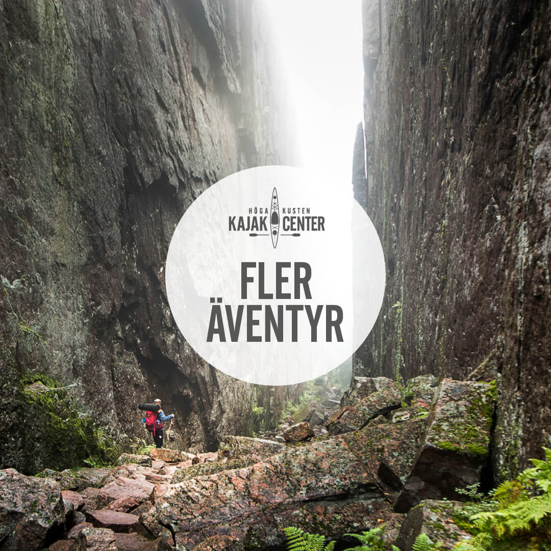 höga kusten äventyr aktiviteter