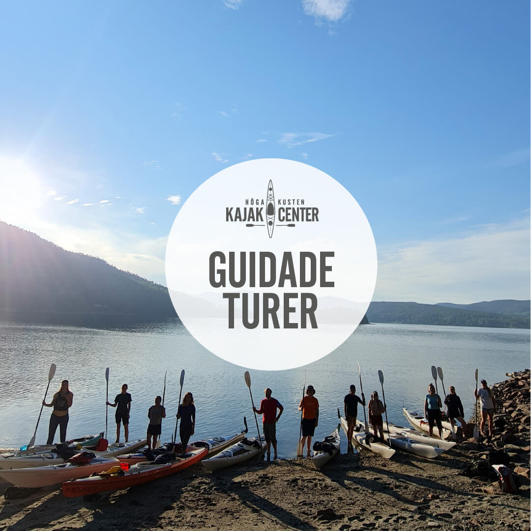 kajak guidad tur höga kusten kajak center
